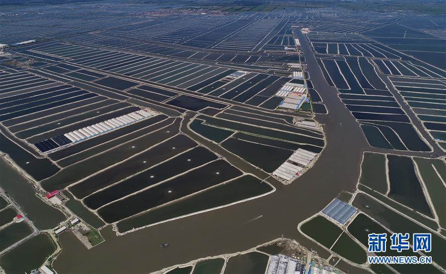 （經濟）（1）特色養(yǎng)殖富農家